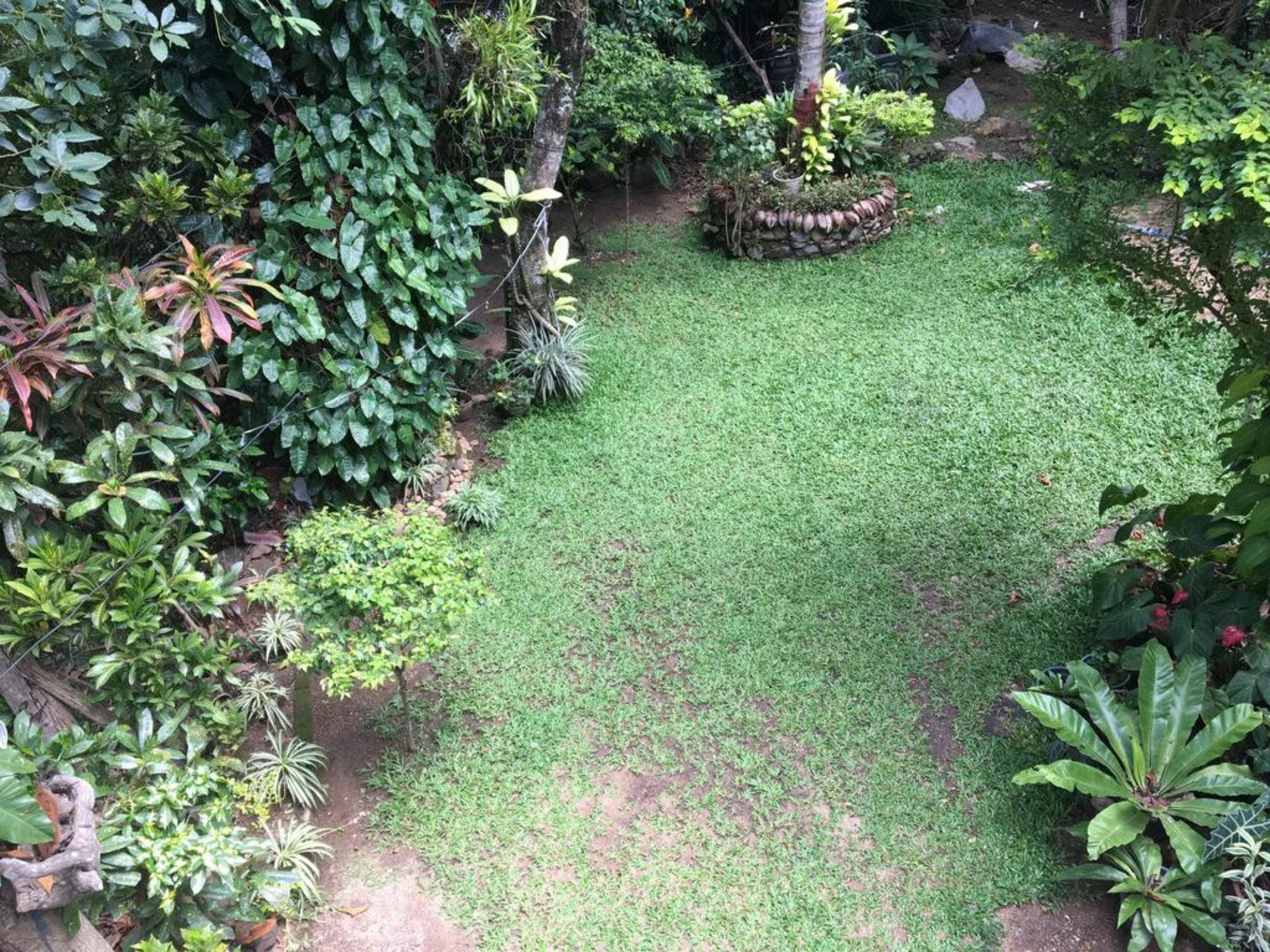 Kandy Shady Trees Villa Luaran gambar