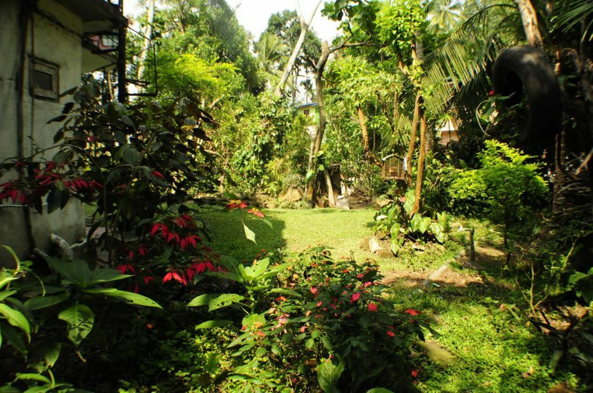 Kandy Shady Trees Villa Luaran gambar